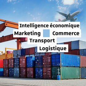 Intelligence économique - Marketing - Commerce - Transport - Logistique