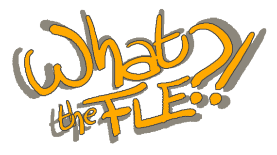 What the FLE ?! (projet collectif 2018-2019)