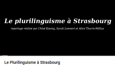 Le plurilinguisme à Strasbourg (projet collectif 2017-2018)