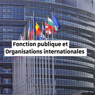 Fonction publique et organisations internationales